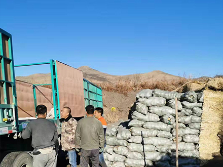 云六馬鈴薯批發