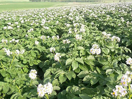 1640913139114752.jpg 14.jpg